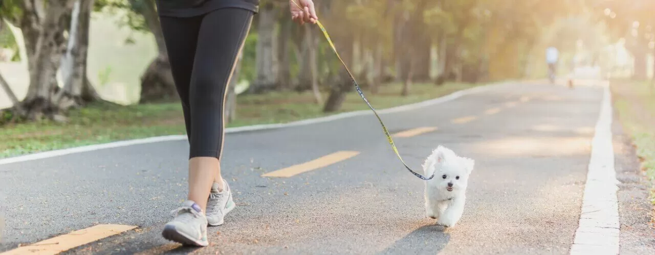 Easy-Ways-To-Get-Active